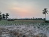 รูปย่อ ขายที่ดินเปล่า ทำเลทอง อำเภอศรีราชา จังหวัดชลบุรี รูปที่1