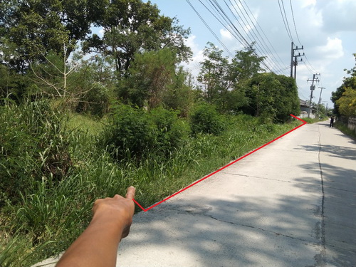 ที่ดินเปล่า 1-1-88.4 ไร่ ต.เมืองปัก อ.ปักธงชัย จ.นครราชสีมา  รูปที่ 1