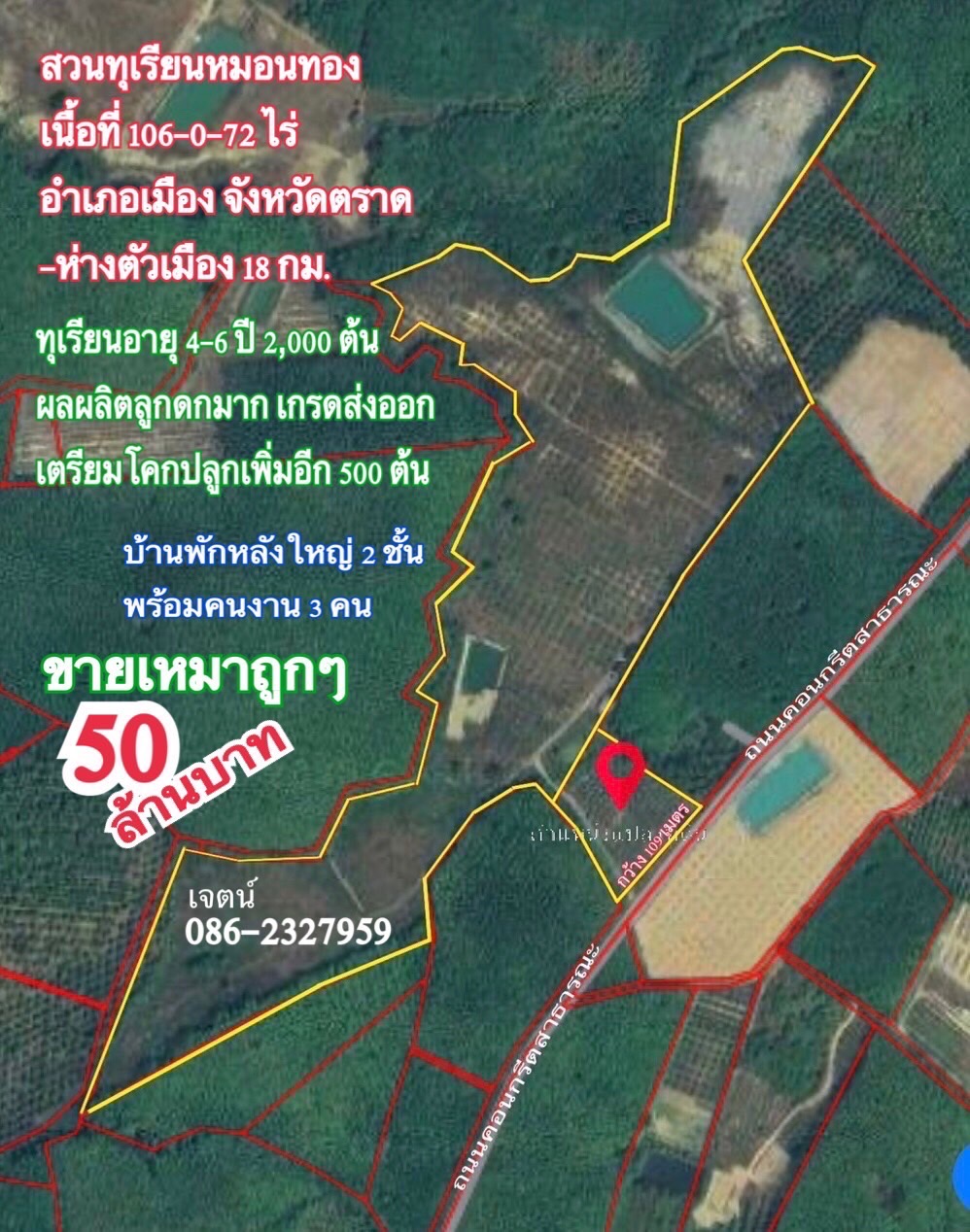 ขายราคาถูก สวนทุเรียนโฉนดรวม 106 ไร่ อ.เมือง จ.ตราด รูปที่ 1