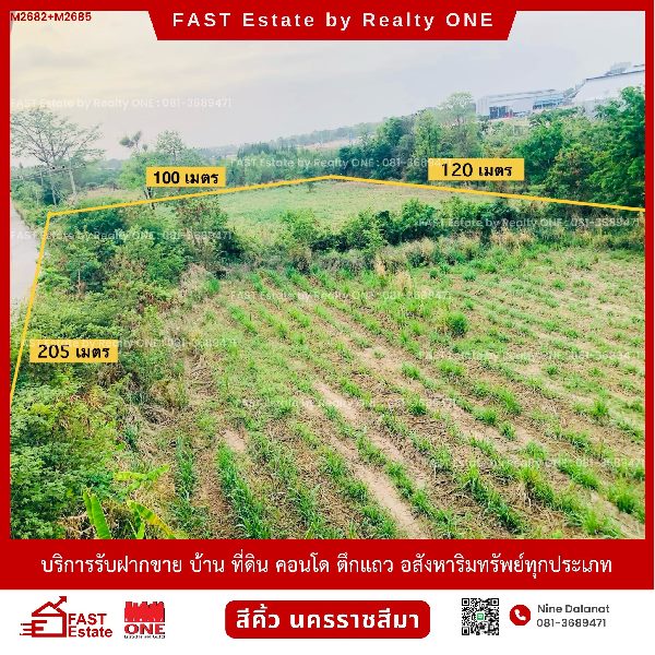  ขายด่วน ที่ดินเปล่า 2 แปลง โฉนดครุฑแดง ด้านติดทางสาธารณะประโยชน์ 3 ด้าน ด้านหลังติดโรงงานน้ำตาลครบุรี สาขาสีคิ้ว จ.นครราชสีมา  รูปที่ 1