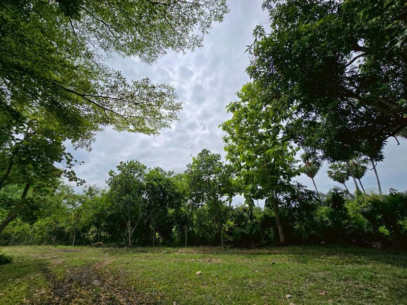 ขายที่สวนใกล้ จปร. แถมบ้าน 2 หลัง ต.ศรีกระอางค์ อ.บ้านนา จ.นครนายก บรรยากาศร่มรื่น เงียบสงบ มีเพื่อนบ้านไม่วุ่นวาย เหมาะสำหรับคนรักสันโดษ รูปที่ 1