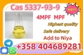 CAS 5337-93-9 4'-Methylpropiophenone High Quality Liquid Factory supply  