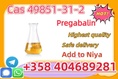 CAS 49851-31-2 good quality low price 2-Bromo-1-phenyl-pentan-1-one . 