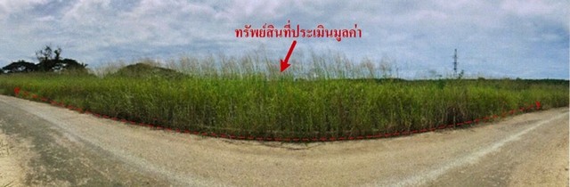 ขายที่ดินว่างเปล่า โครงการสนามกอล์ฟพัทยาคันทรีคลับ อำเภอบางละมุง รูปที่ 1