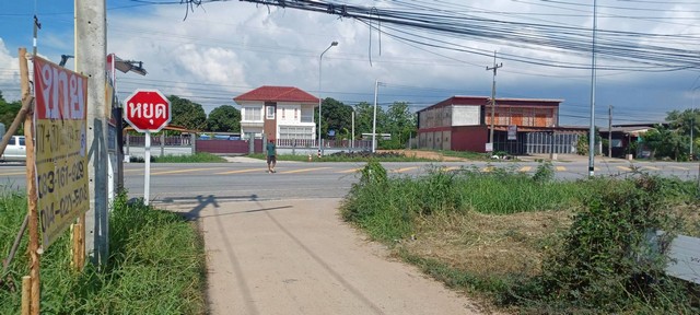 ขายที่ดินราคาถูกพร้อมบ้าน 69 วา  บ้านทองหลาง  มะขามสูง  เมืองพิษณุโลก รูปที่ 1