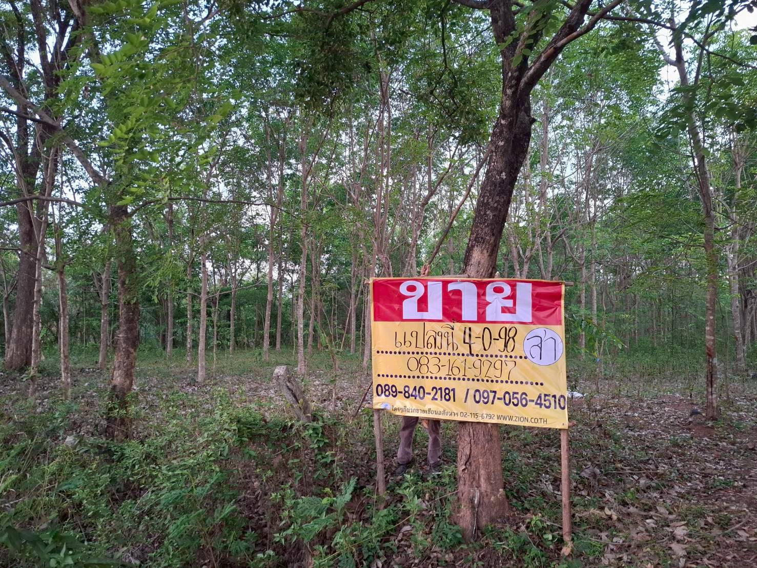 ขายที่ดินราคาถูก 4-0-98 ไร่  ติดถนนลาดยาง  บ้านเมืองบาง  วัดธาตุ  เมืองหนองคาย รูปที่ 1