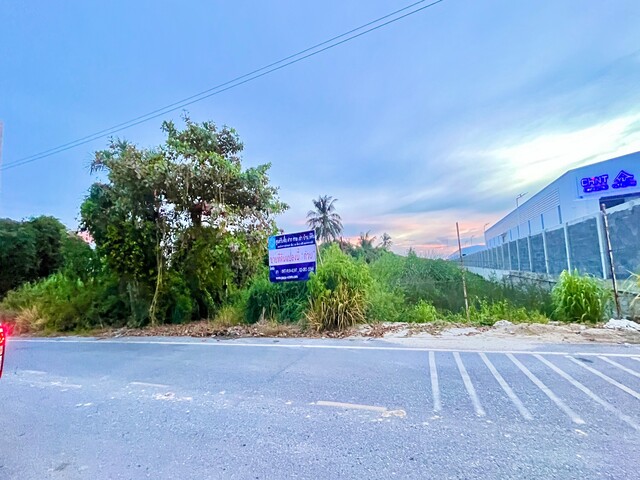 ขายที่ดินเปล่า เนื้อที่  9 ไร่ 1 งาน 71.2 ตร.ว. ซอยวัดศรีวรีน้อย-ลาดกระบัง54 อยู่ใกล้สนามบินสุวรรณภูมิ อ.บางเสาธง จ.สมุทรปราการ รูปที่ 1