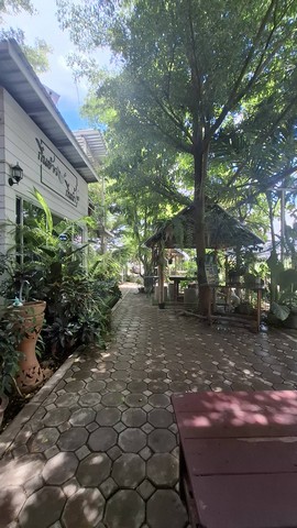 ขายบ้าน พร้อมธุริกิจร้านอาหาร 4.7ดาว ตำบลหางดง อำเภอหางดง จังหวัดเชียงใหม่ รูปที่ 1