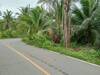 รูปย่อ ขายที่ดินทำเลดี ตำบลท่าคา อ.อัมพวา  จ.สมุทรสงคราม รูปที่1