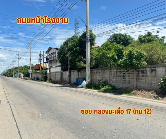 ขายที่ดินติดถนนผังสีม่วงกระทุ่มแบนติดถนนเส้นหลัก ถนนกว้าง ต.คลองมะเดื่อ อ.กระทุ่มแบน จ.สมุทรสาคร รูปที่ 1