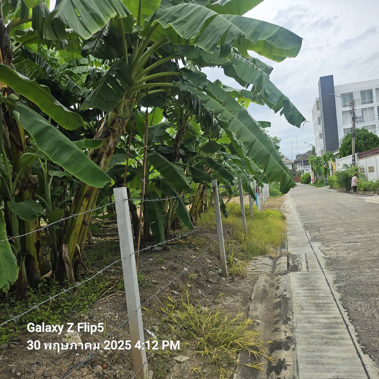 ขายที่ดินทำเลชินเขต 1 เหมาะสร้างบ้านเดี่ยว ออฟฟิศ ทาวน์โฮม หอพัก หรือเก็งกำไรในอนาคต พื้นที่ 200 ตรว ซอยงามวงศ์วาน 43 แยก 2-7 รูปที่ 1