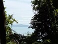 พื้นที่ดิน ขายที่ดินสวนป่า บนเนินไหล่เขา วิวทะเล (Seaview) เกาะสิเหร่ ภูเก็ต 5-0-48.7 ไร่ (ห่างชายทะเล 100 ม.), ราคา 76,826,250 บาท (15 ล้านบาท/ไร่) 35898750 thb  616 Square Wah ใกล้ ห่างเทศบาลเมืองภูเก็ต ประมาณ 7 กม. ทำเลดีเยี่ยม ภูเก็ต   