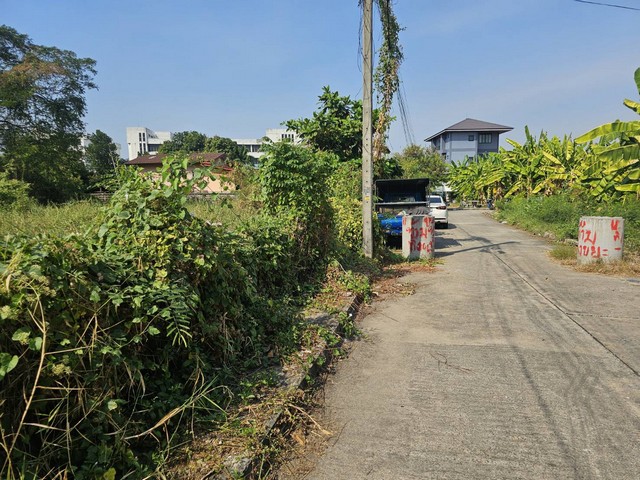 ขายที่ดินติดถนนลาดพร้าว101 ใกล้ mrt ลาดพร้าว ใกล้เดอะเมอล์บางกะปิ รูปที่ 1