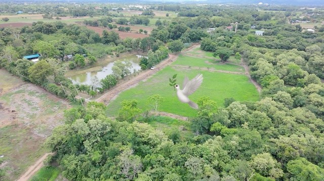 ขายที่ดิน 4 ไร่ครึ่ง ใกล้แยกสันมะค่า ต.บัวลอย อ.หนองแค จ.สระบุรี 2.025 ล้าน รูปที่ 1