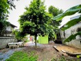 บ้านเดี่ยวพร้อมที่ดิน 80 ตร.วา ซอยวัดกู้ - ปากเกร็ด นนทบุรี
