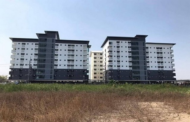 ขายอพาร์ทเม้นท์ ห้องเช่า 8ชั้น พานทอง ชลบุรี (มีใบอนุญาตประกอบการ) TP-A1367 รูปที่ 1