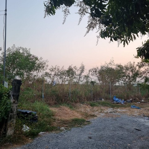 พื้นที่ดิน - ทำเลนี้ห้ามพลาด กรุงเทพ รูปที่ 1