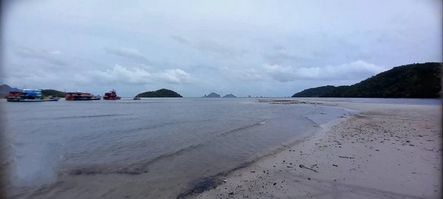 ขายที่ดินติดถนนทำเลดี ตำบลหนองทะเล อำเภอเมืองกระบี่ จังหวัดกระบี่ เหลือเพียง320,000,000บาท (80,000.-/ตารางวา) เท่านั้น รูปที่ 1