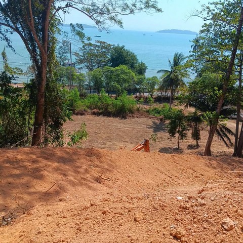ขายที่ดินอ่าวปอ 8 ไร่ 238 ตรว. อ.ถลาง จ.ภูเก็ต ที่ดิน 8 ไร่ 238 ตรว. รูปที่ 1
