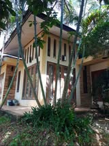 บ้านสไตล์บาหลีสุดหรูใจกลางเมือง บ้านฉาง ระยอง บนเนื้อที่ 300 ตร.ว. รูปที่ 6