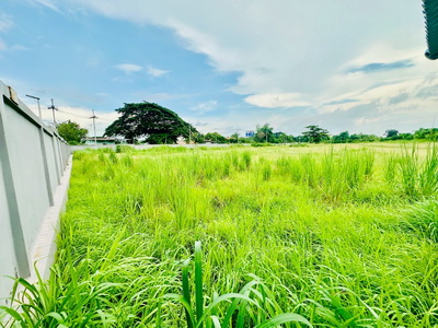 ขายที่ดิน เขตพื้นที่ EEC เนื้อที่ 9-1-70 ไร่ ถนนดอนนุ่น ตำบลบึง อำเภอศรีราชา จังหวัดชลบุรี  รูปที่ 1
