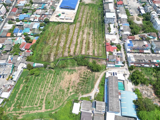 ขายที่ดิน ปากน้ำ สมุทรปราการ 3 งาน 61 ตร.ว. (สุขุมวิท8) ใกล้เทศบาลสมุทรปราการ รูปที่ 1