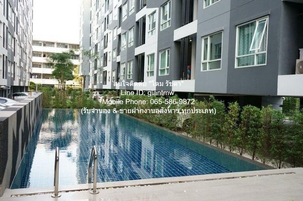 CONDO. รีเจ้นท์ โฮม สุขุมวิท 81 Regent Home Sukhumvit 81 พื้นที่ 28 SQUARE METER  1800000 บาท ไม่ไกลจาก BTS อ่อนนุช โอกาสเดียว เป็นคอนโดพร้อมอยู่ที่มีการตกแต่งภายในเพิ่มเติมได้แบบเรียบหรู และมีทำเลสวยสามารถมองเห็นวิวสวยงาม พร้อมพื้นที่ส่วนกลาง และสิ่ รูปที่ 1