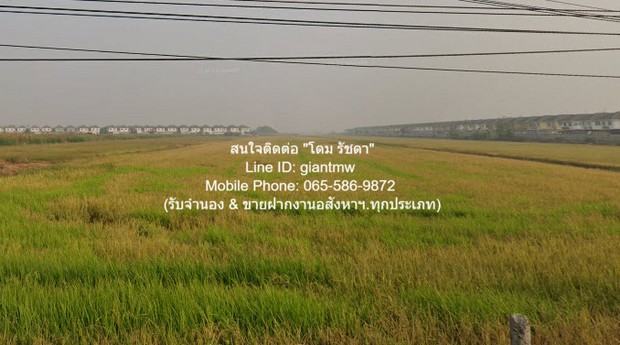 พื้นที่ดิน ให้เช่าระยะยาวที่ดินแปลงใหญ่ 38-2-94 ไร่ ติดถนนพหลโยธิน-ลำลูกกา (คลอง 7) ราคา 580,000 บาท/เดือน  580000 BAHT ใกล้ โรงเรียนเตรียมอุดมศึกษาพัฒนาการ ปทุมธานี ราคาพิเศษ ที่ดินทรงสี่เหลี่ยมแปลงใหญ่ ติดถนนใหญ่ อยู่ใกล้แห่งอำนวยความสะดวกในทุกมิติ รูปที่ 1