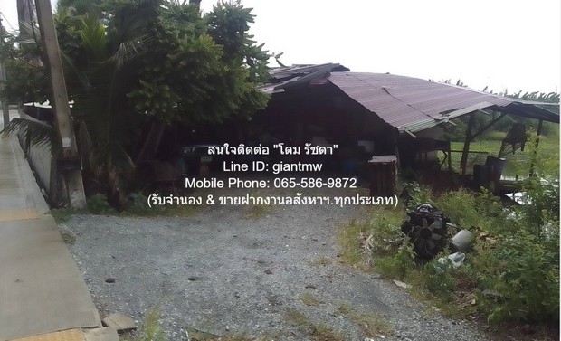 พื้นที่ดิน ให้เช่าระยะยาวที่ดินแปลงใหญ่ 17-0-98 ไร่ ติดถนนหลวงแพ่ง (ลาดกระบัง) ราคา 350,000 บาท/เดือน  350000 THAI BAHT   NEW!! ที่ดินแปลงใหญ่ ติดถนนสายหลัก อยู่ใกล้แห่งอำนวยความสะดวกในทุกมิติ และเหมาะสำหรับนำไปพัฒนาโครงการได้ในหลากหลายรูปแบบ รูปที่ 1