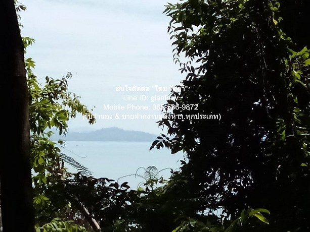 ที่ดิน ขายที่ดินสวนป่า บนเนินไหล่เขา วิวทะเล (Seaview) เกาะสิเหร่ ภูเก็ต 5-0-48.7 ไร่ (ห่างชายทะเล 100 ม.), ราคา 76,826,250 บาท (15 ล้านบาท/ไร่) 57 ตาราง.วา 1 ngan 2 Rai  ใกล้กับ ห่างเทศบาลเมืองภูเก็ต ประมาณ 7 กม. เดินทางสดวกสบาย ภูเก็ต    รูปที่ 1