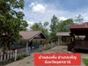 รูปย่อ ขายบ้านพร้อมที่ดิน เนื้อที่10ไร่ อ.เพ็ญ จ.อุดรธานี  รูปที่3