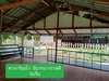 รูปย่อ ขายบ้านพร้อมที่ดิน เนื้อที่10ไร่ อ.เพ็ญ จ.อุดรธานี  รูปที่2