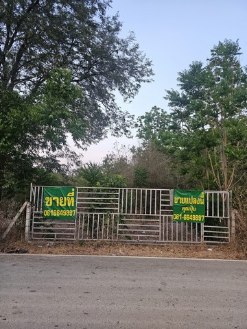ขายที่เปล่าราชบุรีติดถนนทางหลวงชนบท ใกล้ศูนย์การเรียนรู้เศรษฐกิจพอเพียง รูปที่ 1