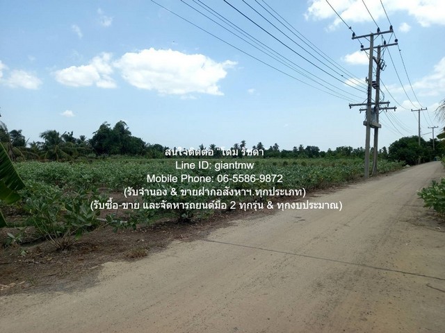 ขายที่ดินทางการเกษตร (ต้นดอกรัก) อ.นครชัยศรี นครปฐม 4-1-67 ไร่ ราคา 8,835,000 บาท  รูปที่ 1