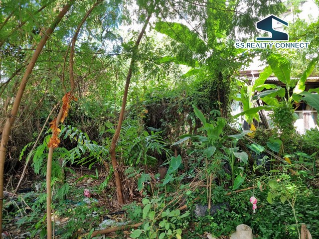 ขายที่ดินถนนสุขุมวิท ย่านปรีดีพนมยงค์ 348 ตร.ว. คลองตันเหนือ วัฒนา รูปที่ 1