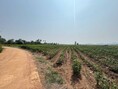 ขายที่ดินวิวภูเขา กาญจนบุรี เหมาะทำบ้านสวน รีสอร์ท หรือเก็บไว้ลงทุน