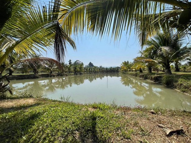 ที่ดินสวยน้ำดี ตลอดปี ใกล้เขื่อนแม่งัด บ้านกาด โซนแม่แตง รูปที่ 1