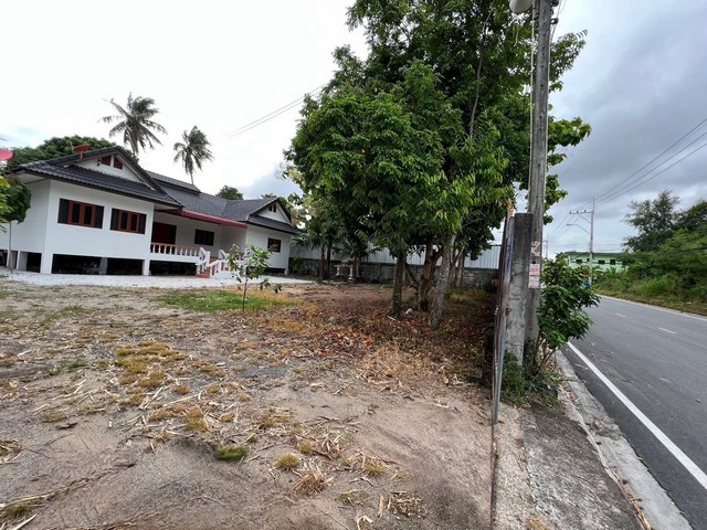 Vายและให้เช่าบ้านเดี่ยวติดถนนสุขุมวิท เนินกระปรอก ระยอง  บ้านเปล่าไม่มีเฟอร์นิเจอร์  รูปที่ 1