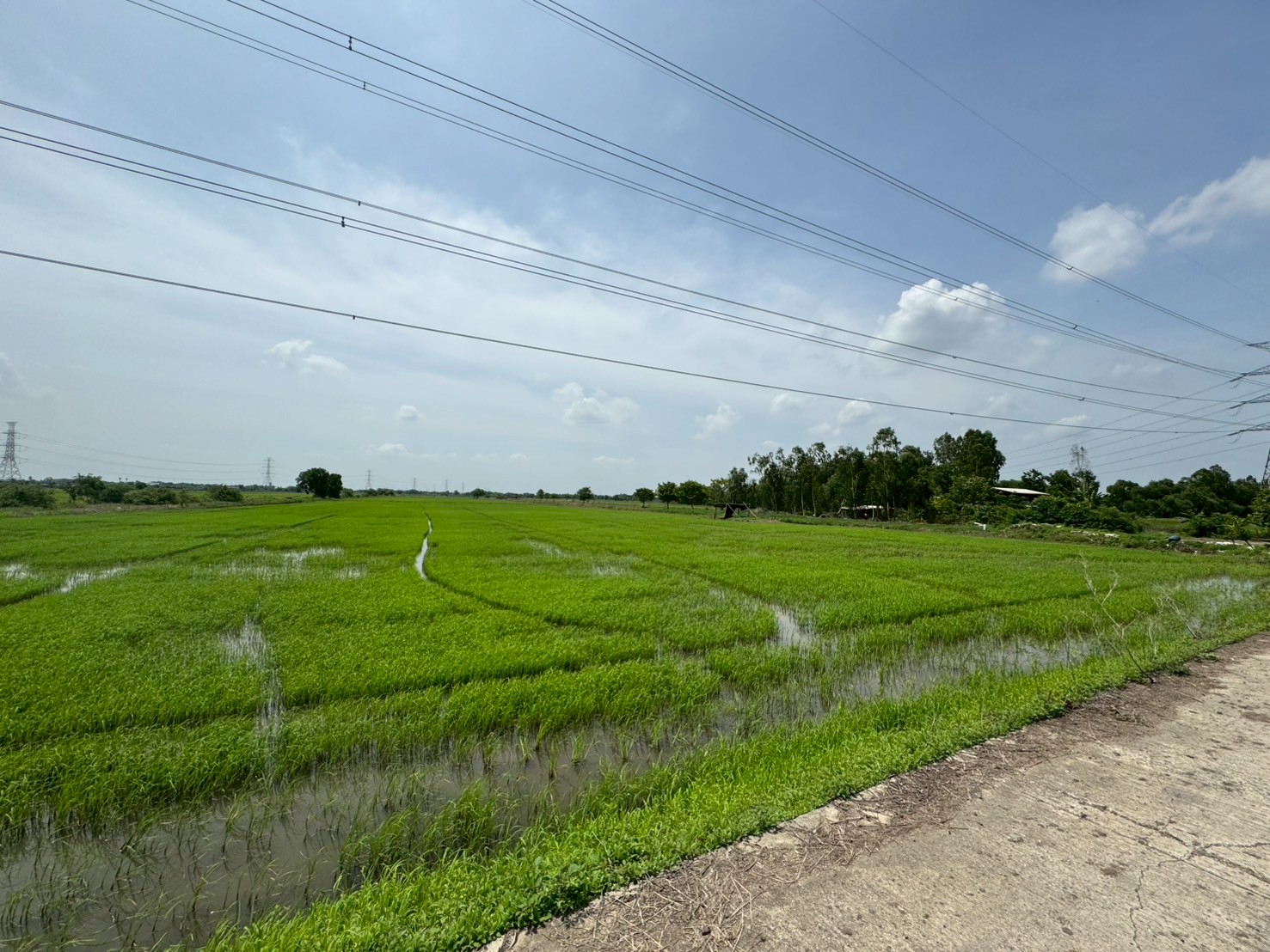 ขายที่ดิน เนื้อที่ 100 ไร่เศษ อ.วังน้อย จังหวัดพระนครศรีอยุธยา รูปที่ 1