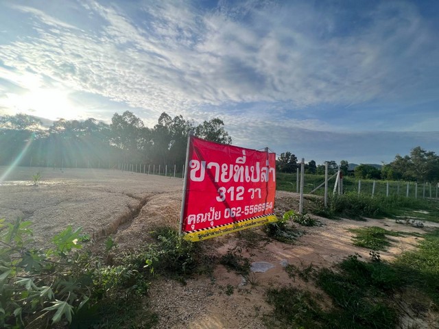 ขายที่หัวหิน ขายที่เปล่านาตาช้าง1 | ติดถนนทางหลวงหัวนาทับใต้ รูปที่ 1