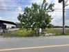 รูปย่อ ขายที่ดิน 263 ตรว. พร้อมถมดินให้ ซอยวัดพูนพิมลราช ต.พิมลราช อ.บางบัวทอง จ.นนทบุรี โทร 088-899-8965 รูปที่5