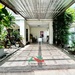 รูปย่อ ขายบ้านเดี่ยว50ตรว. ม.อัมรินทร์นิเวศน์3 ผัง4 ซ.สายไหม15 บ้านสภาพดี ทำเลดี ราคาพร้อมคุย รูปที่2