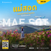 รูปย่อ รับจองตั๋วเครื่องบินสายการบิน Nok Air ทั้งในและต่างประเทศ รูปที่5