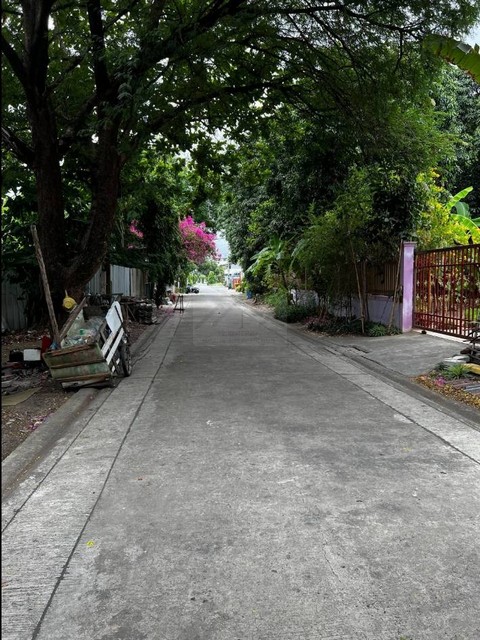 ขายที่ดิน 145 ตารางวา สุขุมวิท 101 ปุณณวิถี 43 เหมาะสร้างบ้าน สำนักงาน หรือลงทุน  รูปที่ 1