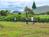 รูปย่อ บรรยากาศเขาใหญ่ ปากช่อง #ติดลำธาร  เพียง 7,500/ตรว. ผ่อน12งวด #ฟรีดอกเบี้ย รูปที่4