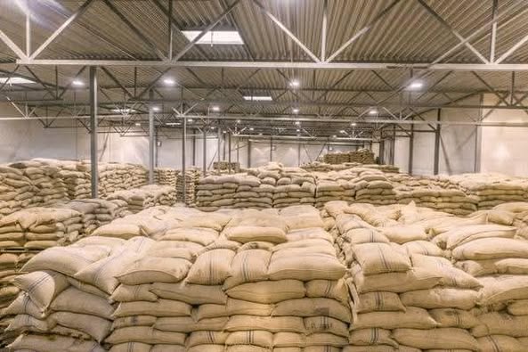+27719755564 The Green Coffee beans (Arabica Coffee) Grade: AA, A, and AB รูปที่ 1