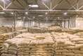 +27719755564 The Green Coffee beans (Arabica Coffee) Grade: AA, A, and AB