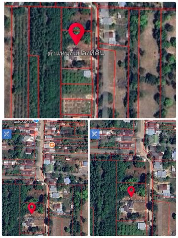 ขายบ้านสวน 2 หลังพร้อมที่ดิน อำเภอสิรินธร จังหวัดอุบลราชธานี เนื้อที่ 2 ไร่ 2 งาน 24 ตารางวา สร้างใหม่พร้อมเข้าอยู่ รูปที่ 1