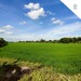 รูปย่อ ขายที่ดินเปล่าคลองขวาง ปทุมฯ-บางเลน เนื้อที่ 29 ไร่ 2 งาน 90 ตารางวา (DD002075) รูปที่2