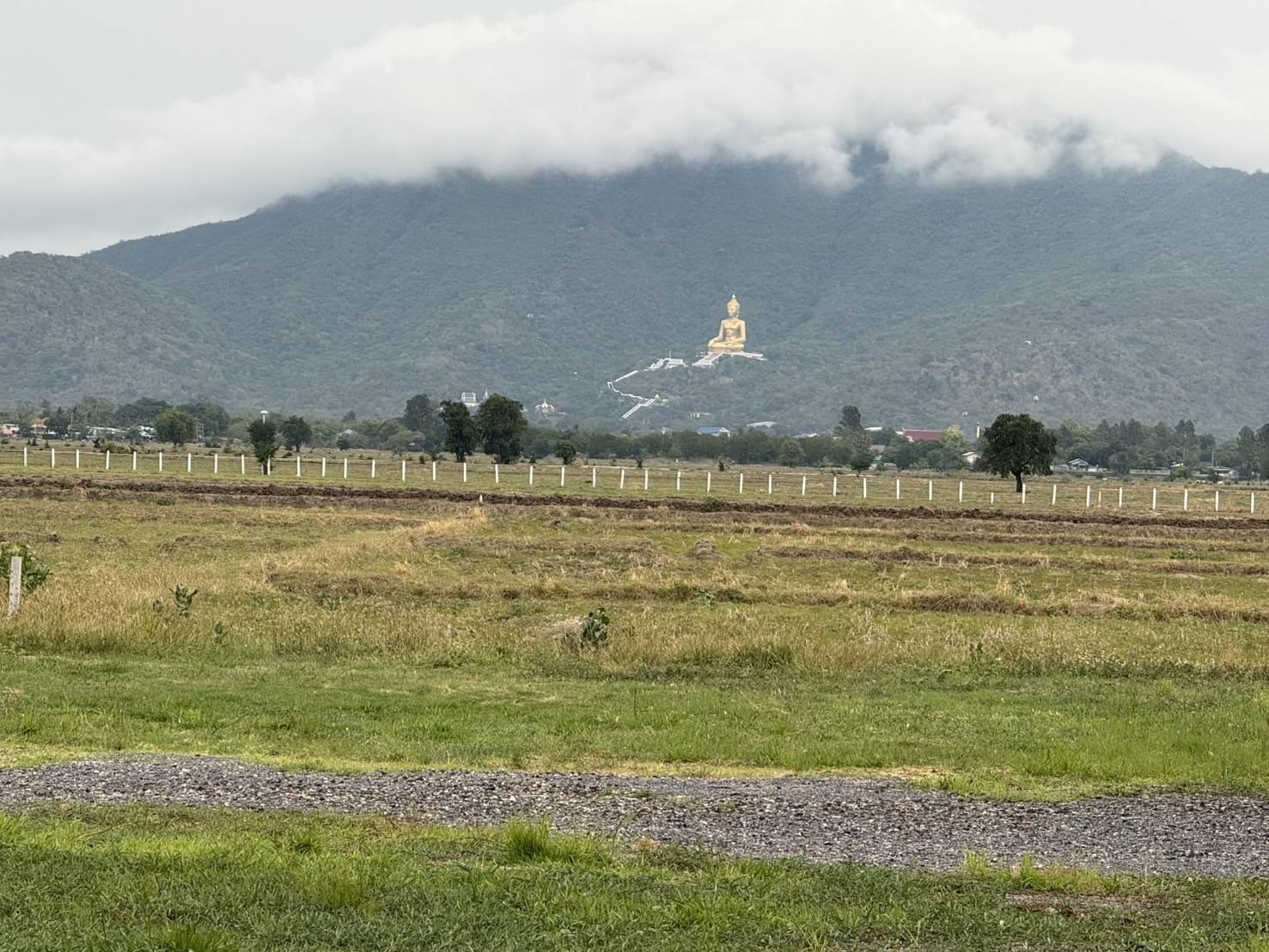 ขายที่ดิน ทำเลทอง ตำบลห้วยโป่ง อำเภอโคกสำโรง จังหวัดลพบุรี รูปที่ 1